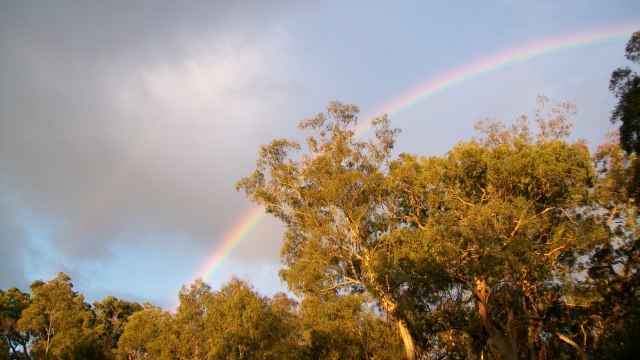 rainbow